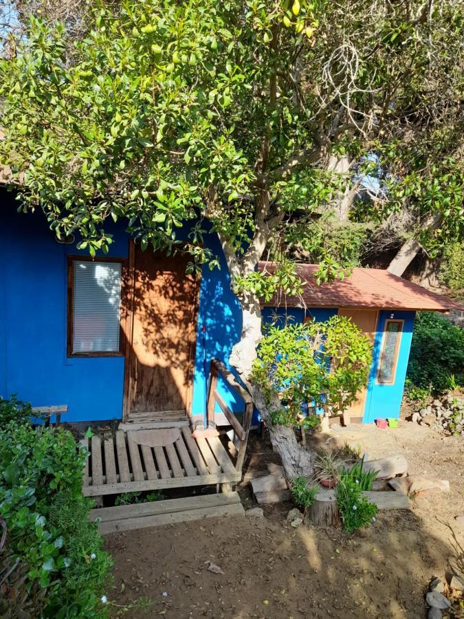 Cabanas En Casa de férias Isla Negra